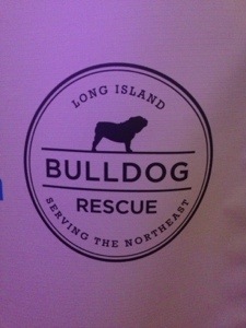 Long Island Bulldog Rescue Charity