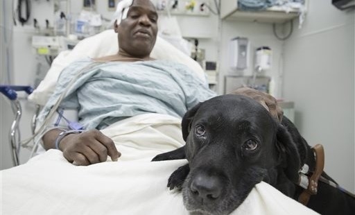 Heroes Come in All Shapes & Sizes