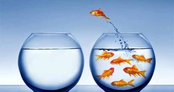 Challenge Yourself to Live Your Dreams!