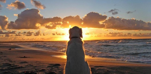 A Morning Meditation 