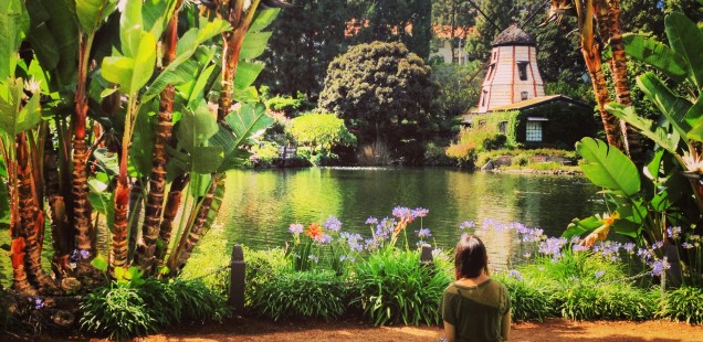 The Doost's Guide to Visiting Los Angeles!!