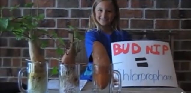 The Organic vs. Conventional Potato Experiment! 