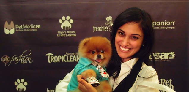 New York Pet Fashion Show