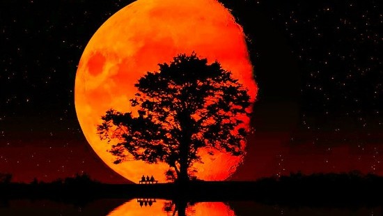 Watch the Lunar Eclipse Tonight!!