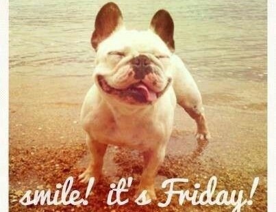 Happy Friday! The Daily Doost