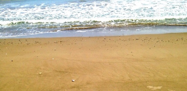 Did Someone Say "Beach?"