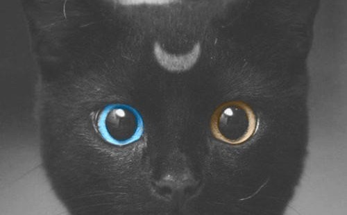 Favorite Few Challenges