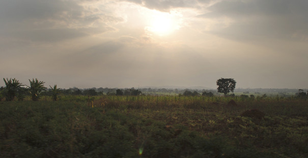 A Note on Fragility and Hope