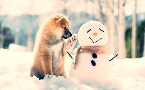 Holiday Greetings & Crafts: How To Make It Memorable