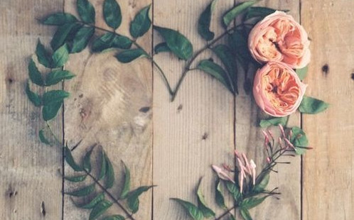 Quotes to Inspire: Follow Your Heart and Never Give Up