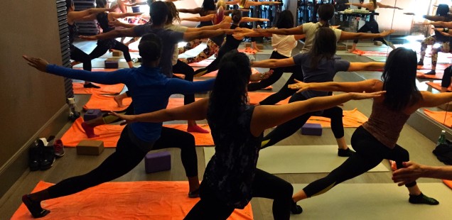 Yoga with the Doost and Friends