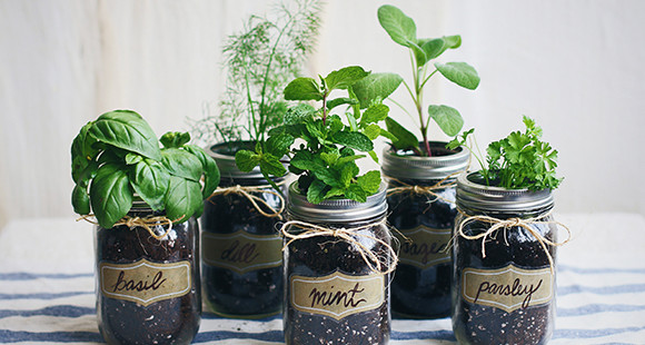 Pairing Herbs With Your Food ║ The Essentials