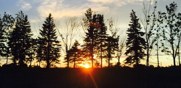 Toronto ║ Doost Party