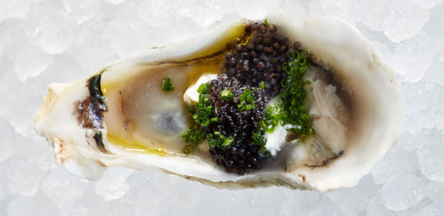 Find Your Oysters Pearl ║ An App to Improve Your Oyster Selection
