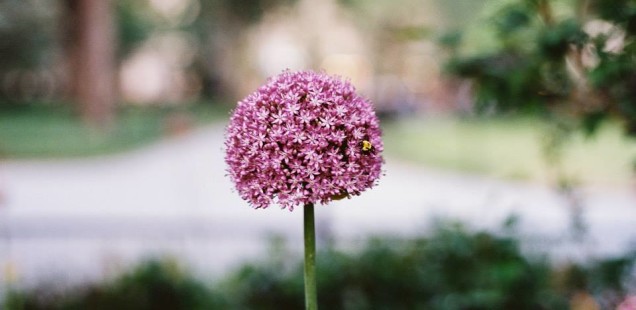 Photographs that Inspire by Emily Keown ║ New York City Style