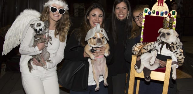 Halloween Costume Ideas for Your Furry Friend // LazyBonezz' Howl-o-Ween Pawty for Pups & Dogs