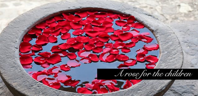 A Rose to Help the Children // Kate Stoltz Gift to You