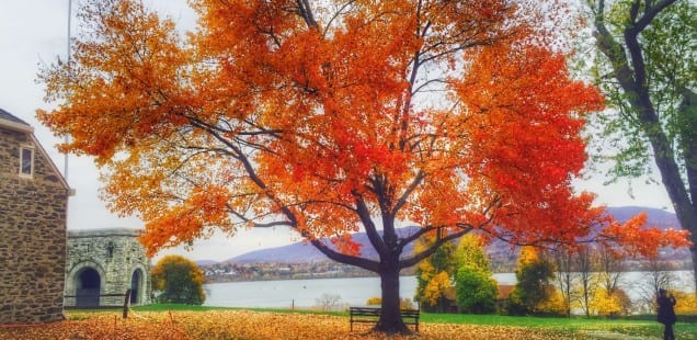 Be Thankful. Like, Actually Show Gratitude.