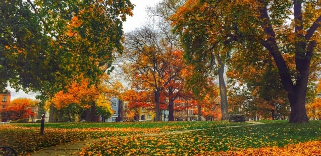 The Perfect Weekend Getaway Guide to the Oldest Winery in America