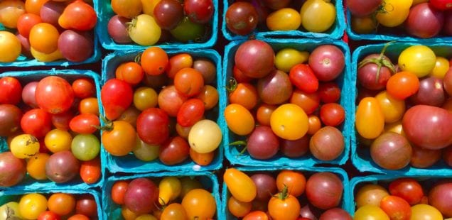 Learn How to Pick Tomatoes at the Farmer's Market with Executive Chef Mateo Bergamini