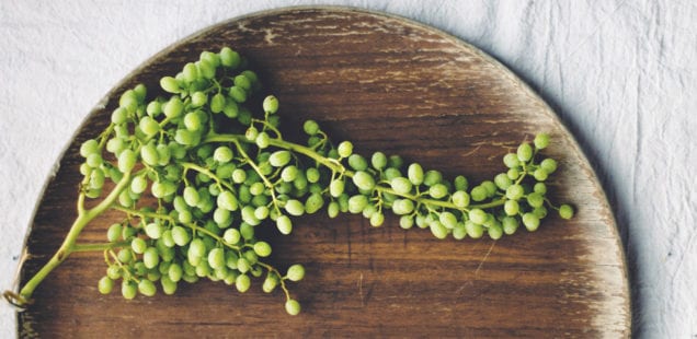 These 10 Benefits of Grapeseed Oil Freakin' Surprised Me