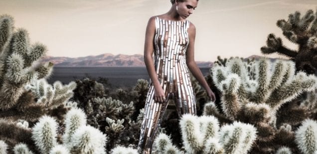 The Man Behind the Lens │ Photographer Matt Licari Shares His Story Along With Tips