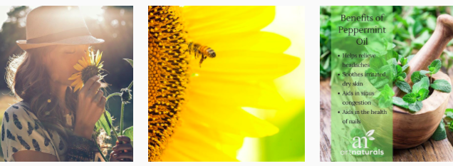 Beauty by Nature · a Look Into the Benefits of Essential Oils With Expert Amy Galper