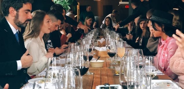 What I Learned About Olive Oils Around the World from the Colavita Family