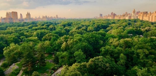 Inspire Change · Be a Young Leader · Serve Communities The United Way, in NYC