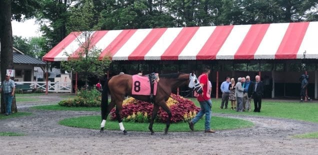 Placing Bets & Taking Names 🐎 a Fun Day Trip to Saratoga, NY with Some of My Favorite People
