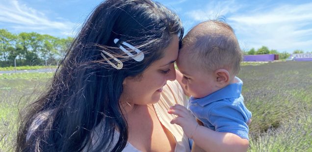 Lavender Fields for the Summer · An NY Road Trip