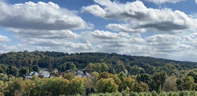 Christmas Trees & Apple Picking in Westchester County