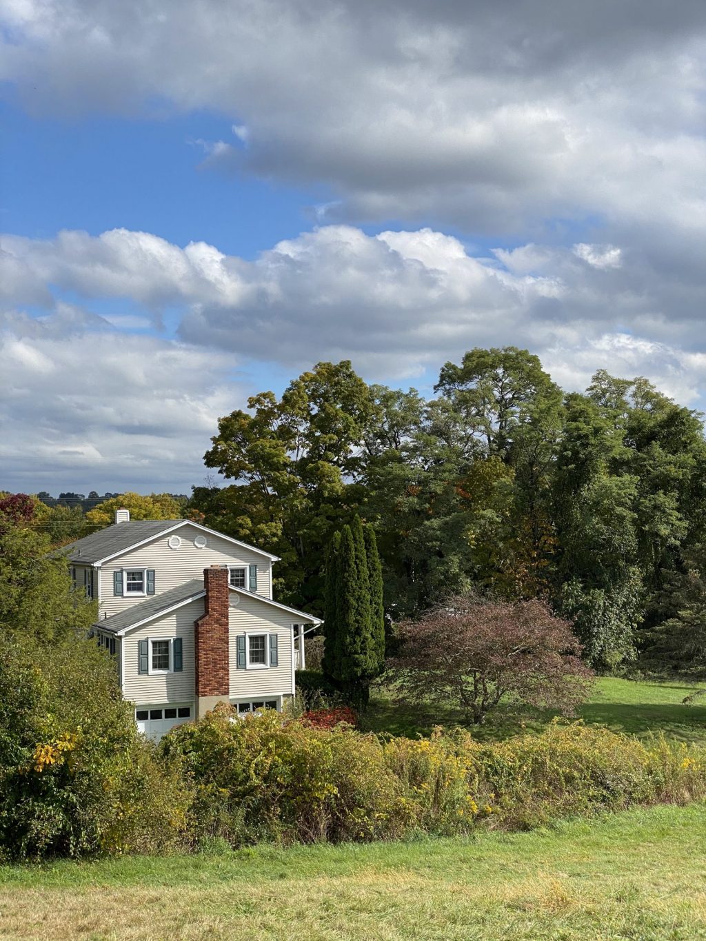Christmas Trees & Apple Picking in Westchester County